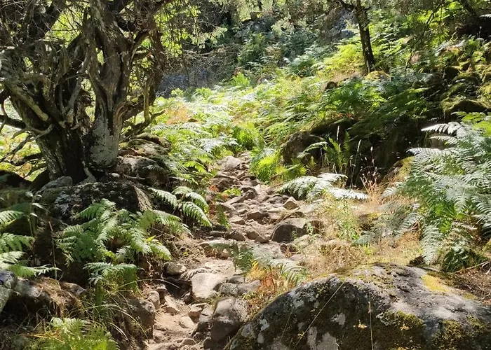 Valle Del Almanzor 펜션